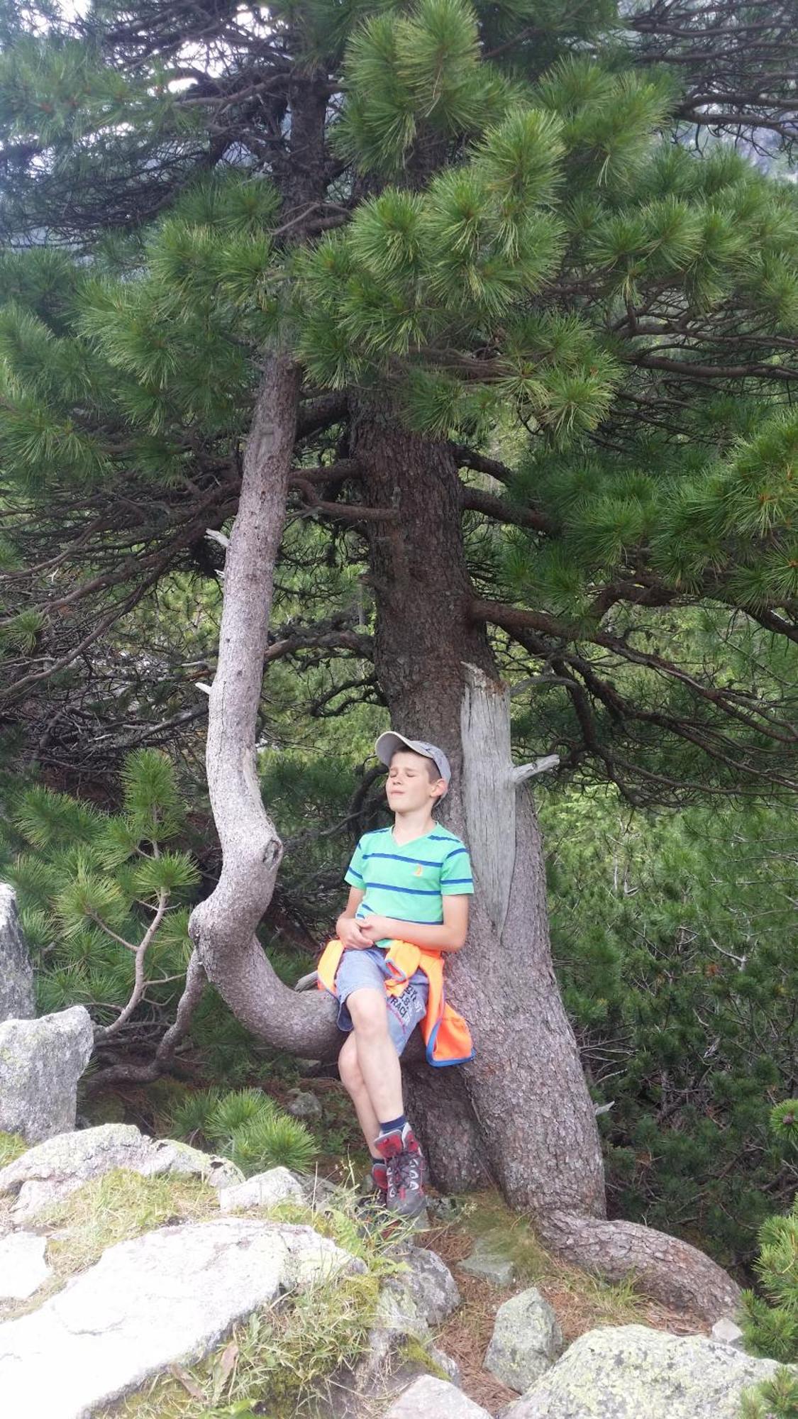Iva Ubytovanie Liptovský Mikuláš Dış mekan fotoğraf